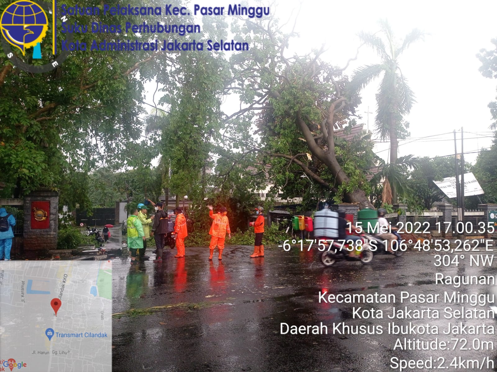 Pohon tumbang di Jl. Cilandak KKO Wilayah Pasar Minggu Jakarta Selatan